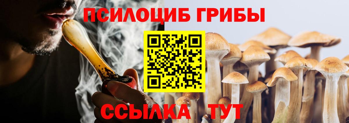 Галлюциногенные грибы Cubensis  Псилоцибиновые грибы ЛСД  Новошахтинск  где найти   Вход с VPN 